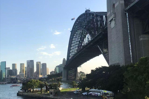Sydney: Blue Mountains Day Tour, Scenic World & Leura