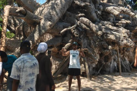 Zanzibar;Blue Safari Snorkeling & Blue Lagoon with BBQ lunch Pickup anywhere (All inclusive)
