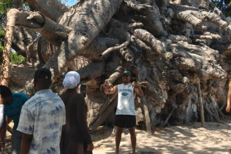 Zanzibar;Blue Safari Snorkeling & Blue Lagoon with BBQ lunch Pickup anywhere (All inclusive)