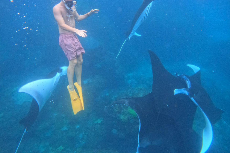 浮潜活动 + 西侧努沙彭尼达之旅