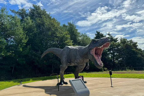 Fukui: Dinosaur Museum Ticket & Digital Family Guide