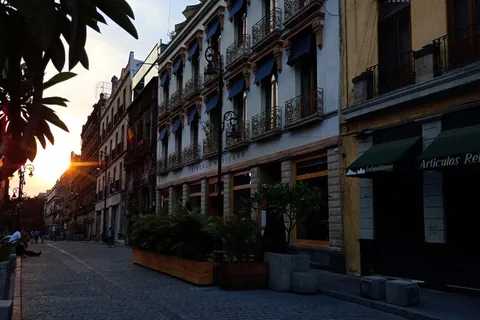 Mexico City: Historic Center Walking Tour private