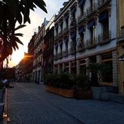 Mexico City: Historic Center Walking Tour private