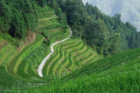 Guilin To LongJi Rice Terraces Shared Transfer Day Tour