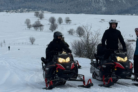 Zakopane Snowmobile, Quad or Buggy Ride & Treetop Skywalk Snowmobile, Quad or Buggy Ride & Skywalk (No Rental)