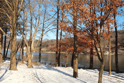 Seoul: SnowyLand in Vivaldi Park with Nami or Alpaca Group Tour with Alpaca World from Hongik University Station