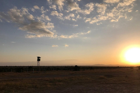 Nairobi: Ol Pejeta Conservancy Day Trip with Game Drives