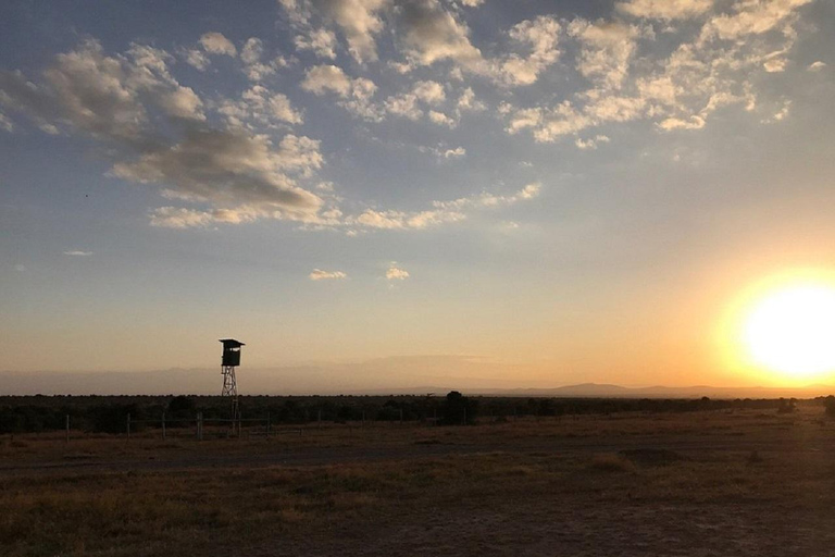 Nairobi: Ol Pejeta Conservancy Day Trip with Game Drives