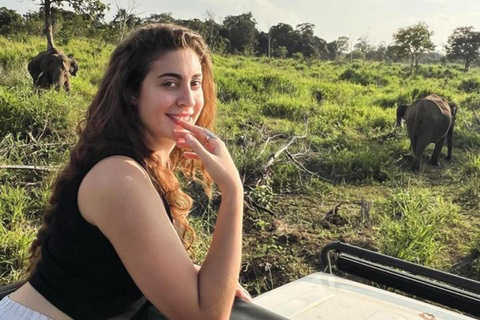 From Kandy: Sigiriya Rock & Minneriya Safari by Luxury Car