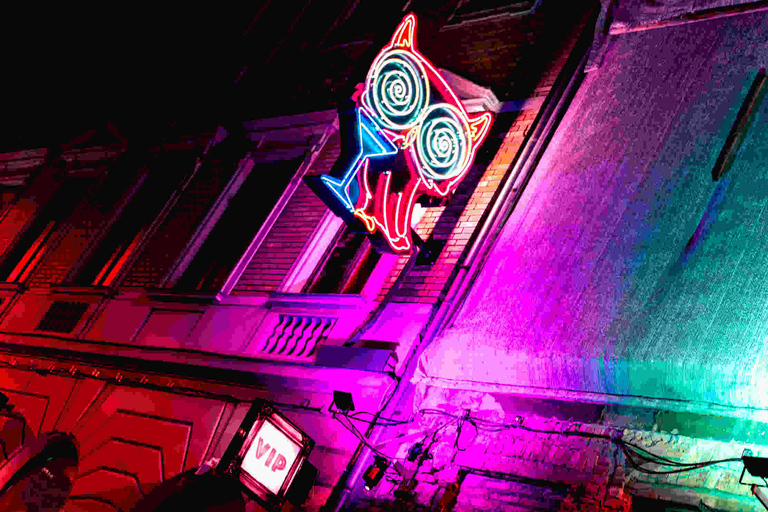 Budapest: Ruin Bar Pub Crawl with Nightlife Guide