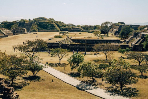 Oaxaca: Monte Alban, Alebrijes, & San Bartolo Tour