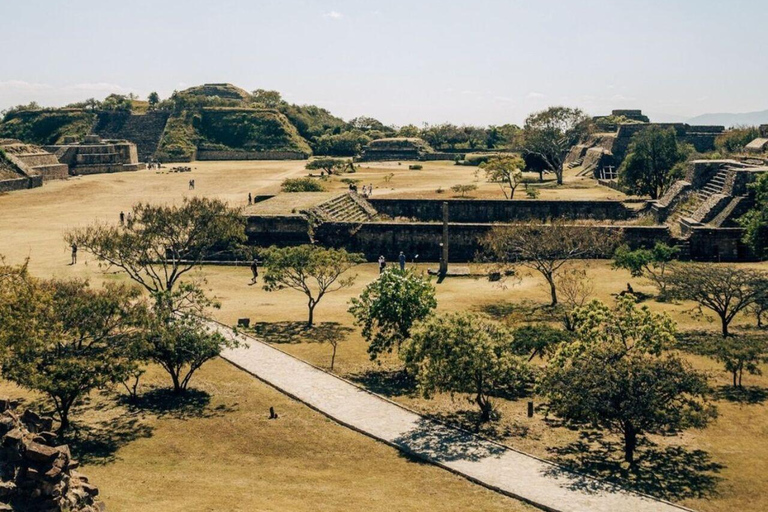 Oaxaca: Monte Alban, Alebrijes, & San Bartolo Tour