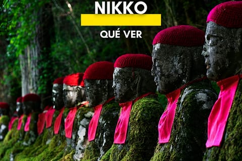 Tokyo Private Nikko Guided Tour All-Inclusive Experience - Image 2