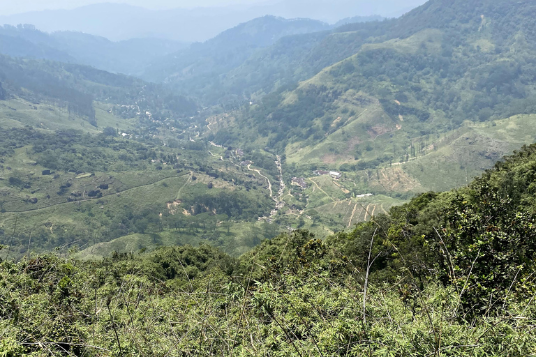 Tedo 7 Waterfalls Peak Adventure – Knuckles Mountain Range