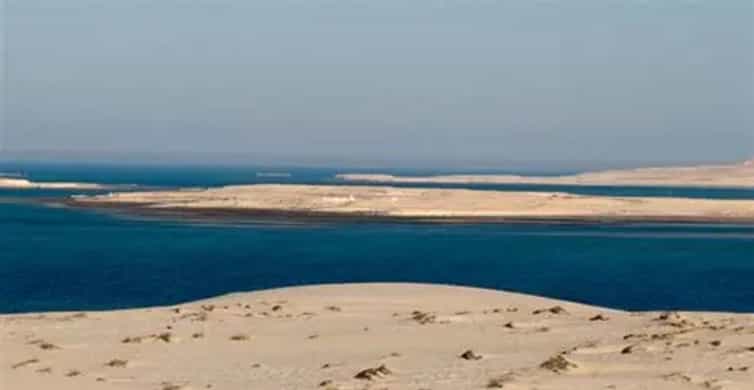 Doha: DesertSafari with Quad Bike, Camel Ride & Sandboarding photo 5