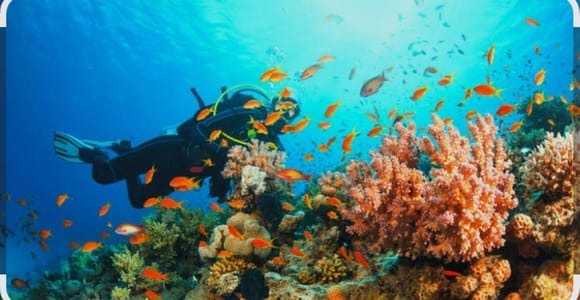 Bintan: Snorkeling, Kayaking, and Fishing Tour