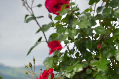 Zurich: Half-Day Private Tour to Rapperswil with Local Guide