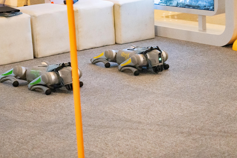 上海：最新日常科技，包括机器人、电动汽车和无人机标准套餐（含无人机送货体验）