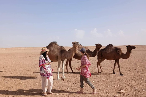 From Djerba: Douz, Matmata Star Wars Sites & local market