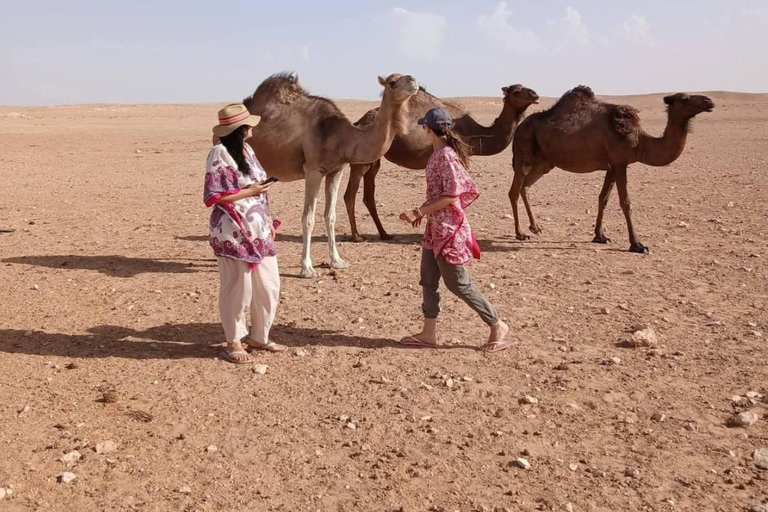 From Djerba: Douz, Matmata Star Wars Sites & local market