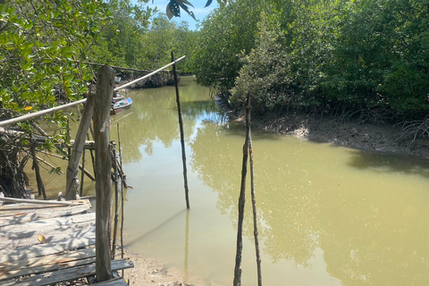 Ko Lanta : Kayak dans la mangrove, Ko Talabeng et l'île du Crâne