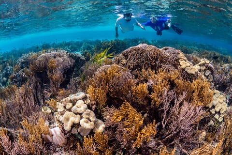 Raiatea : excursion privée en bateau vers Taha'a ⭐⭐⭐⭐⭐