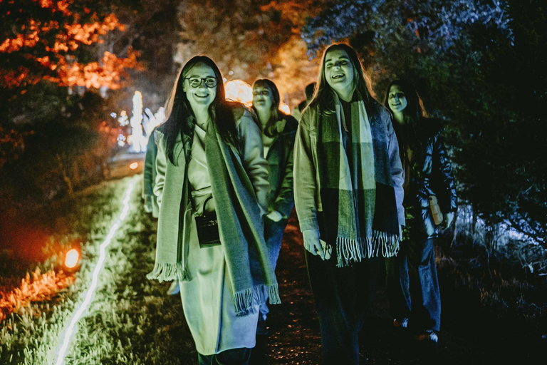 Budapest: biglietto d'ingresso per il Lumina Light Park Wonderworld