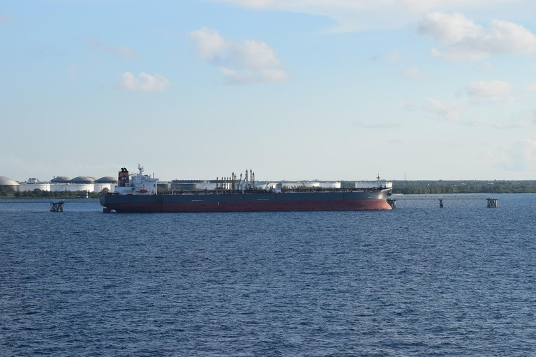 بربادوس: جولة في الجزيرة مع الكهف والقرود وركوب قارب