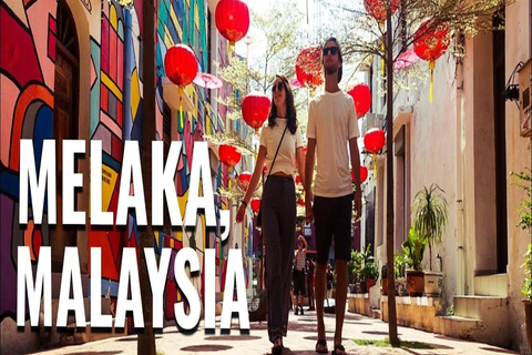 Malacca: Private Full-Day City Tour with Entry Ticket