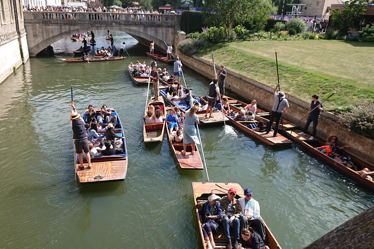 Cambridge: Entertaining walking tour with friendly companion