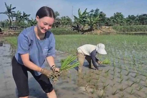 Yogyakarta : 24-Hour Local Life Experience in Yogya Village