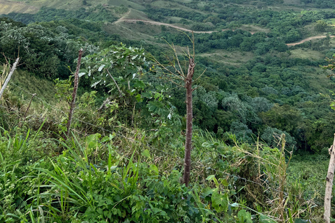 Whale Watching &amp; Safari Tour to Montaña Redonda