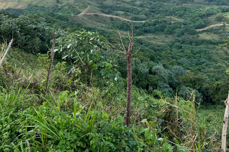 Whale Watching &amp; Safari Tour to Montaña Redonda