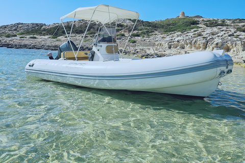 Ibiza and Formentera: Full-Day Boat Rental