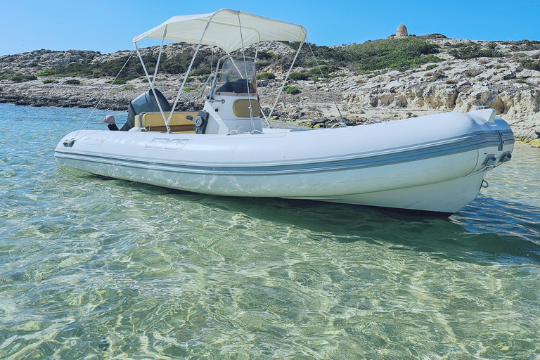 Ibiza and Formentera: Full-Day Boat Rental