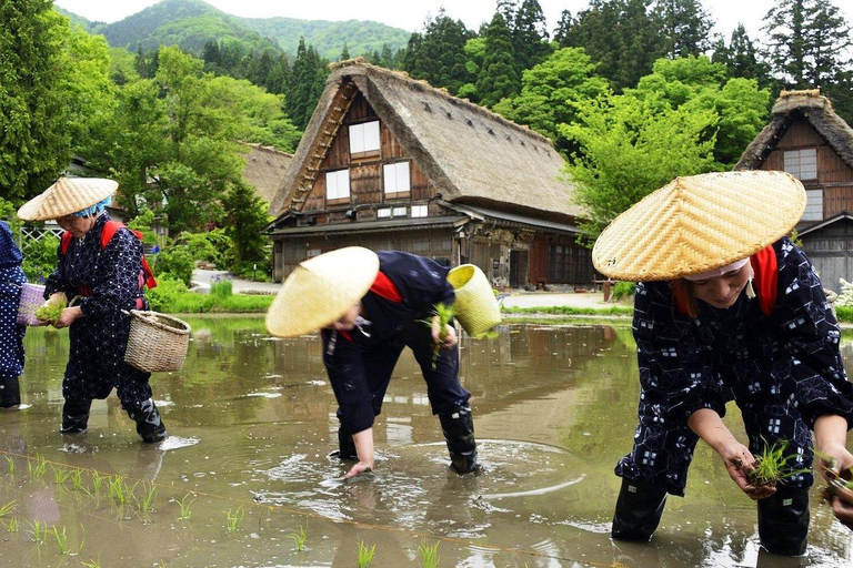 From Kanazawa: Guided Private Trip to Shirakawago & Takayama Regular Car(for 2 PAX or less)