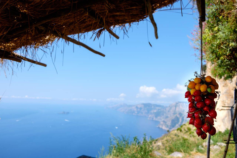 De Sorrento: Caminho dos Deuses - Caminhada e traslado com guia