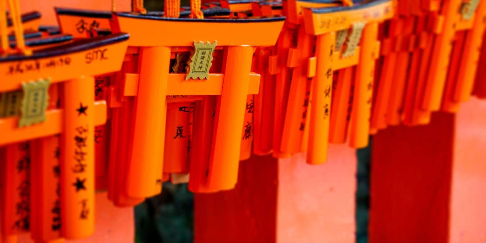 Kyoto experience — temples, geisha, bamboo grove — image 11
