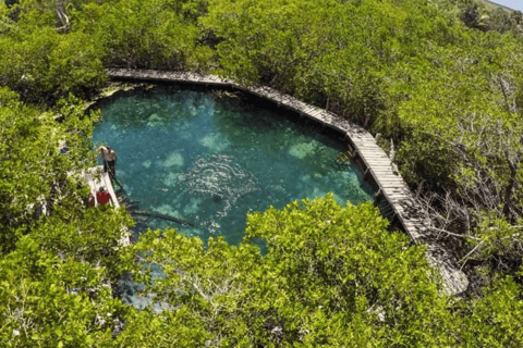 De Cancún: Excursão a Holbox com traslado