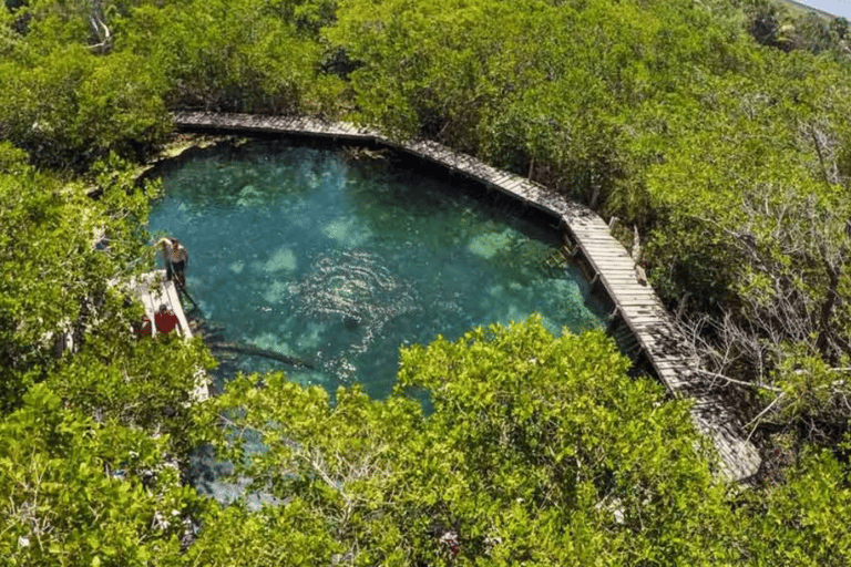 De Cancún: Excursão a Holbox com traslado