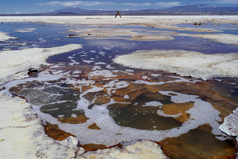 Uyuni FULL DAY! PRIVATE!