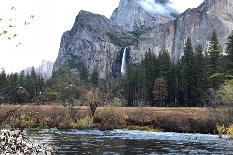 Van San Francisco: Yosemite-tour met wandeling met gigantische sequoia's