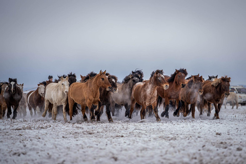 8 Day Authentic Horseman tour Mongolia