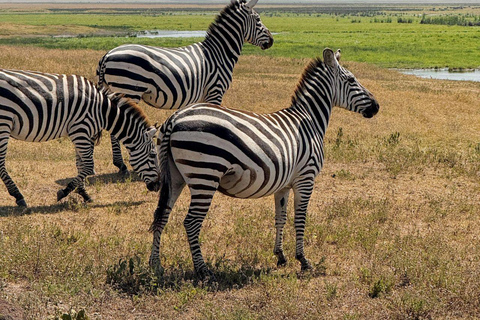 Nairobi: Lake Nakuru National Park and Lake Naivasha Tour