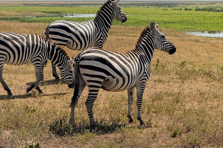 Nairobi: Lake Nakuru National Park and Lake Naivasha Tour