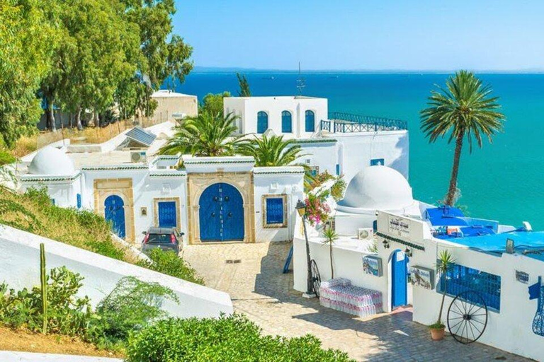 Tunis : Visite de la Médina, de l&#039;amphithéâtre de Carthage et de Sidi Bou Said