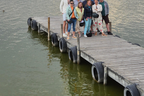 Valencia's Albufera, cycling guided tour