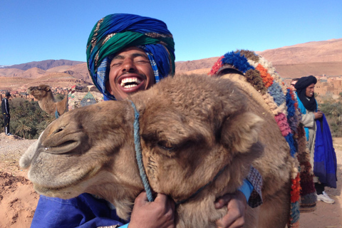 Tangier: 3 hours Tour and camel ride small group