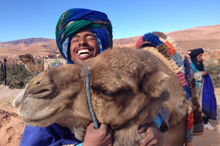 Tangier: 3 hours Tour and camel ride small group