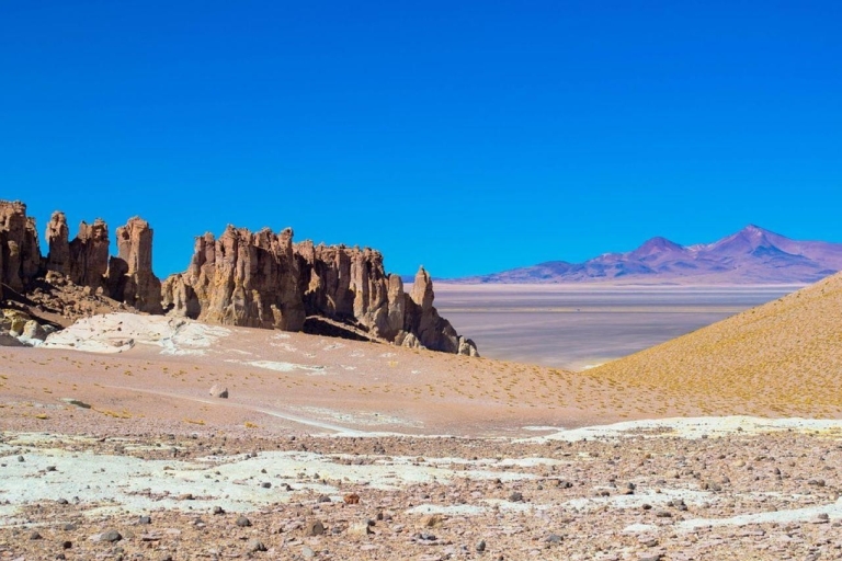 Uyuni zoutvlakte: Van Uyuni - Atacama 3 dagen
